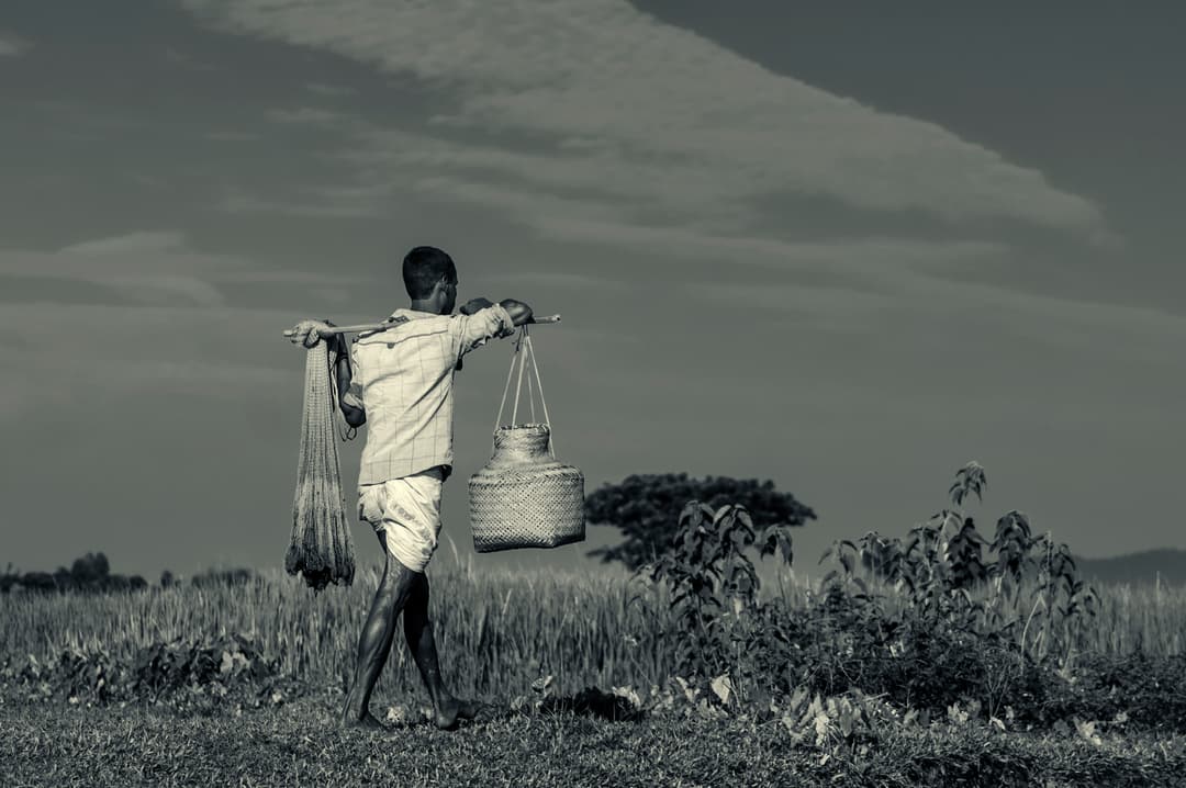 Farmer