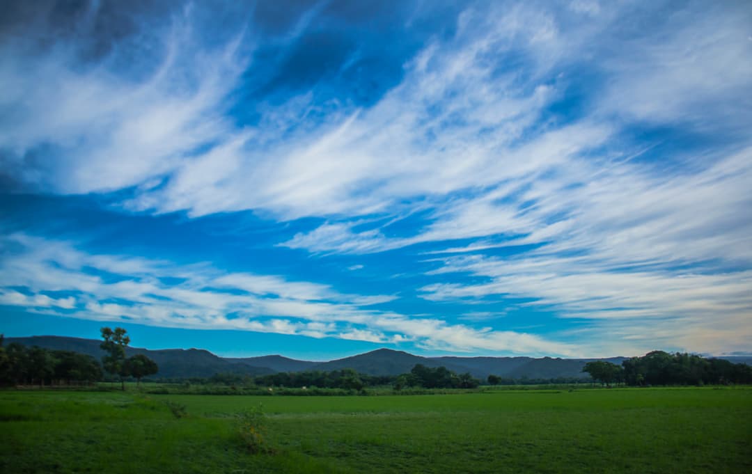 Landscape