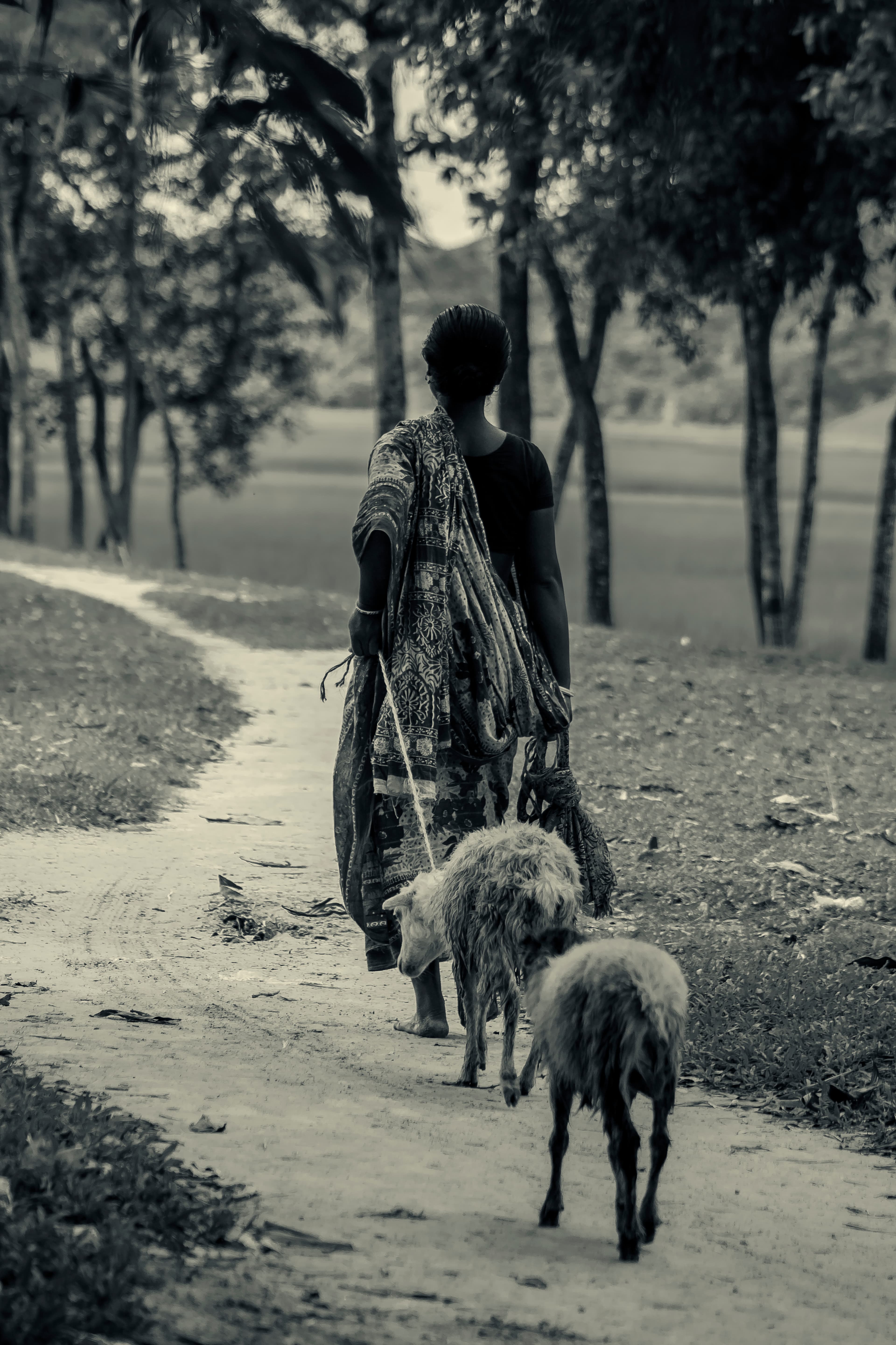 Street Photography: Capturing Life